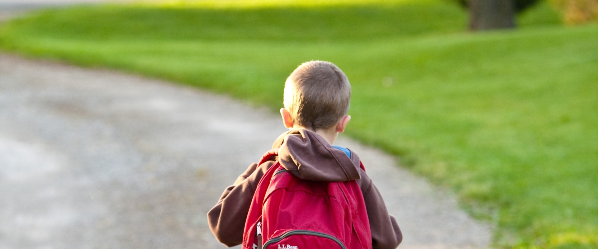 How to Develop Analytical Skills for Your Child's Academic Success
