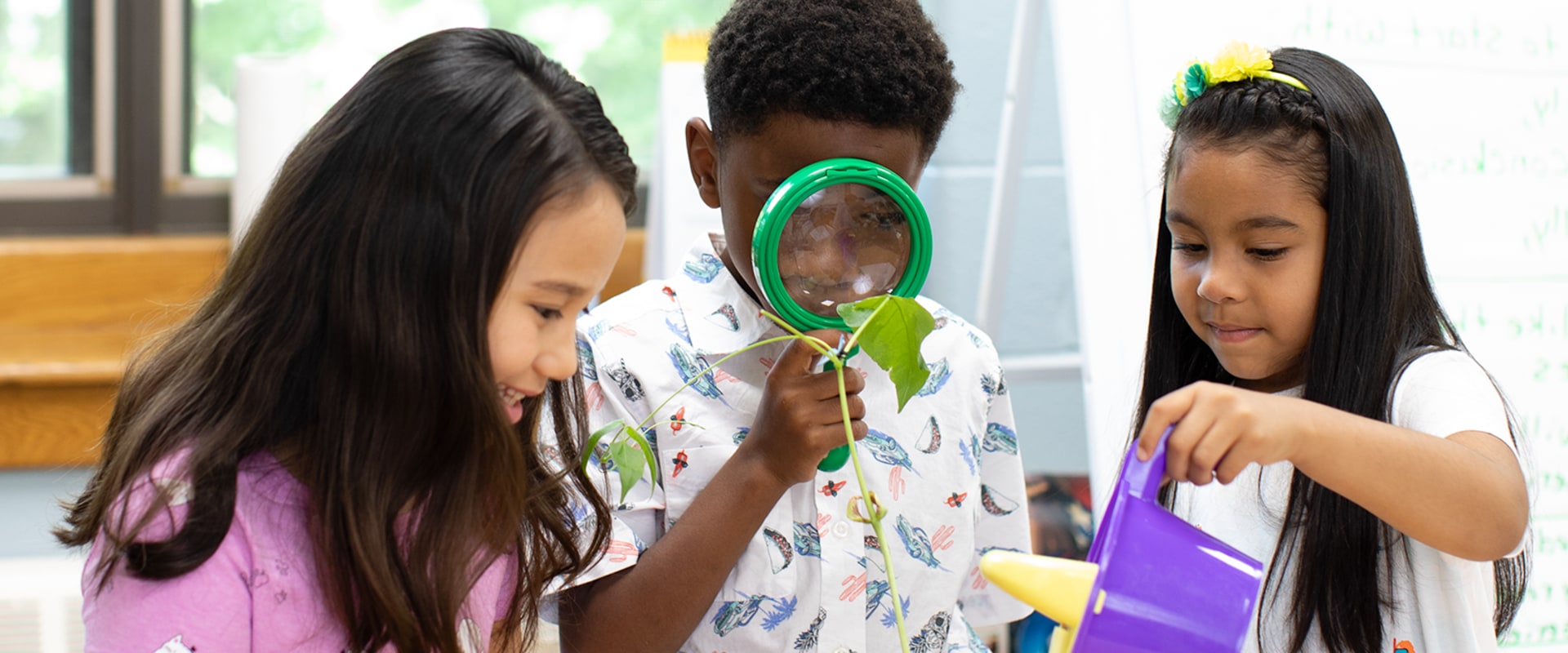 Simple Experiments and Observations for Your Child's Academic Success