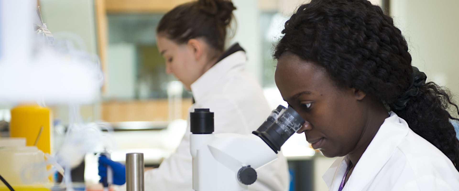 Biology and Life Sciences: The Essential Guide for Parents