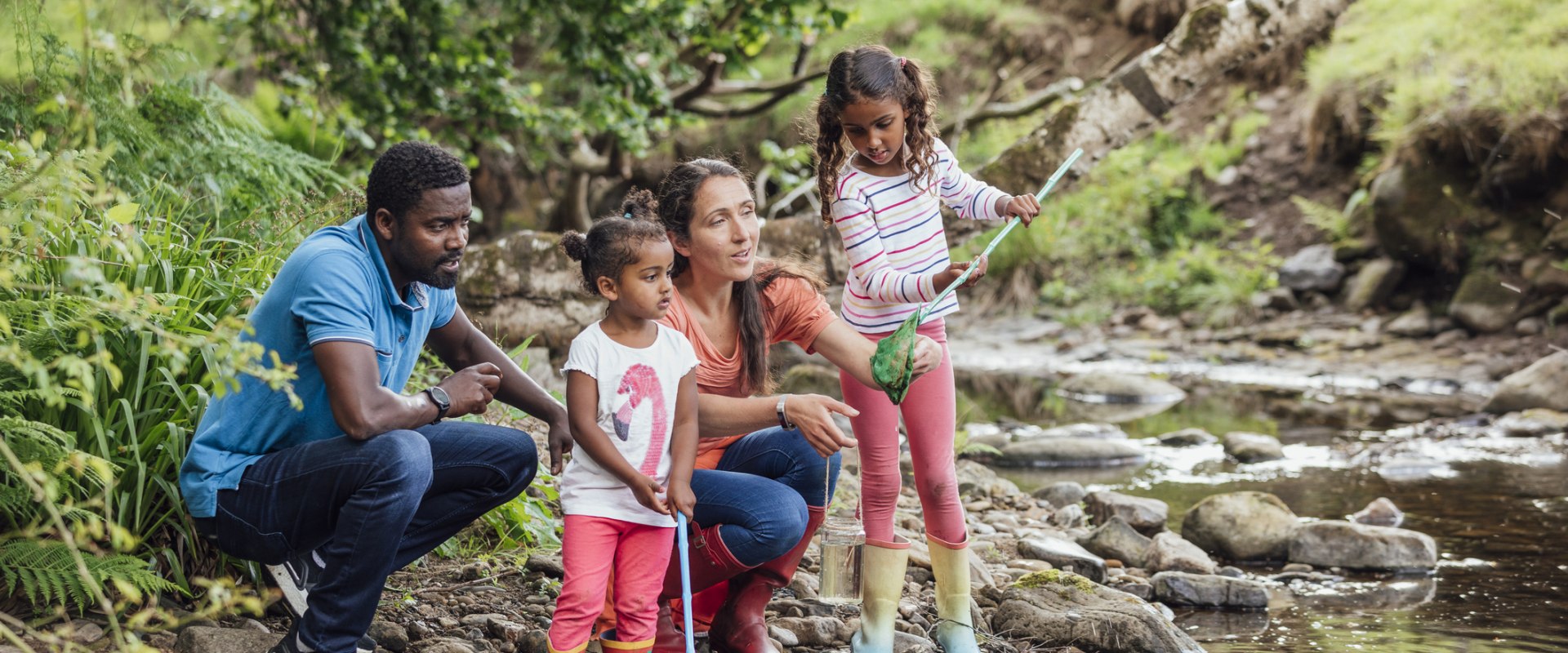Nature and the Environment: A Comprehensive Look at Supporting Your Child's Education