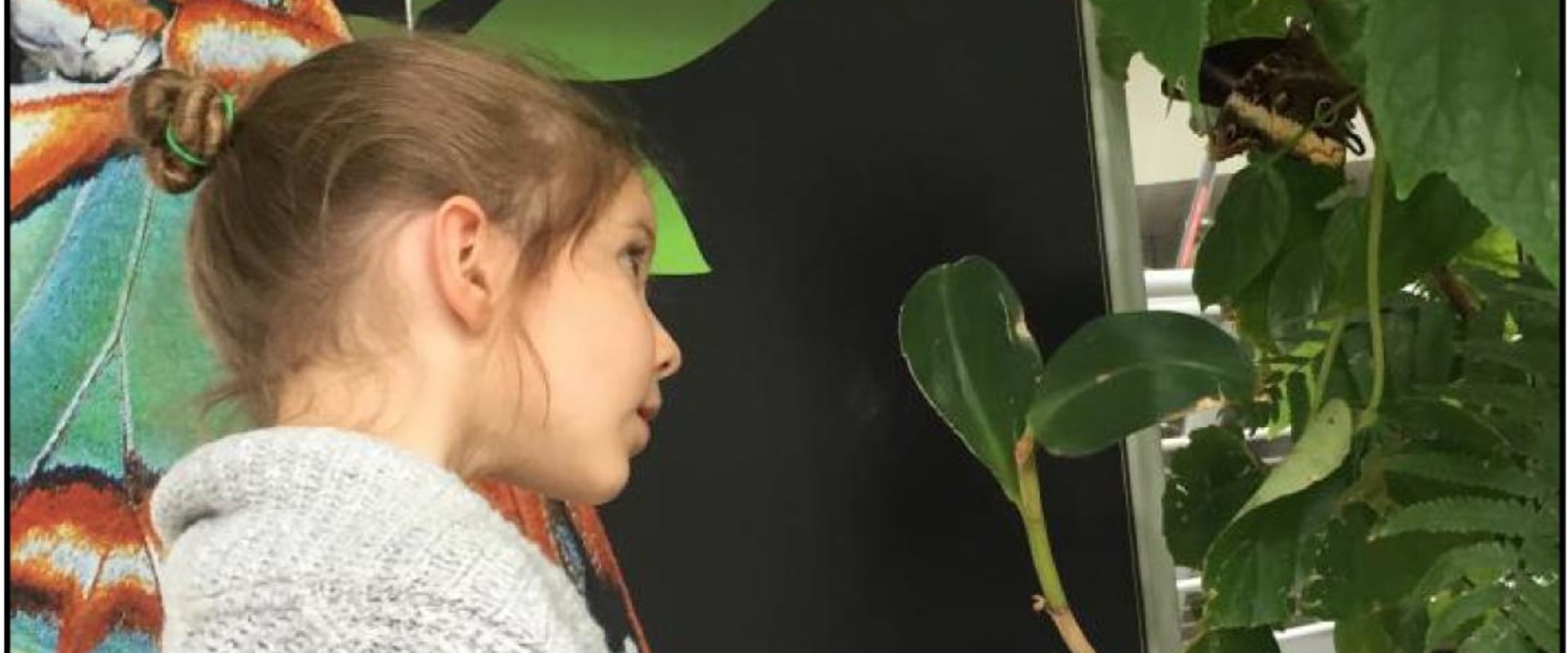 Literature Analysis and Critical Thinking: A Comprehensive Look at Supporting Your Child's Academic Success