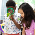 Simple Experiments and Observations for Your Child's Academic Success