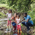 Nature and the Environment: A Comprehensive Look at Supporting Your Child's Education