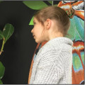 Literature Analysis and Critical Thinking: A Comprehensive Look at Supporting Your Child's Academic Success