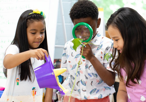 Simple Experiments and Observations for Your Child's Academic Success
