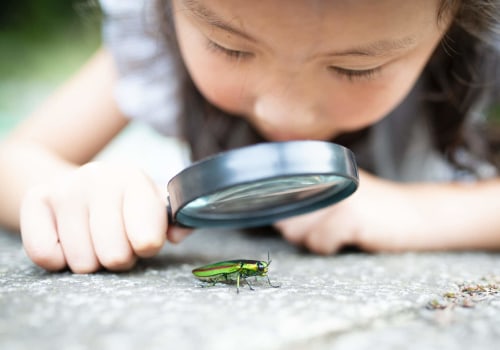 A Comprehensive Look at Earth Sciences for Parents: From Kindergarten to University